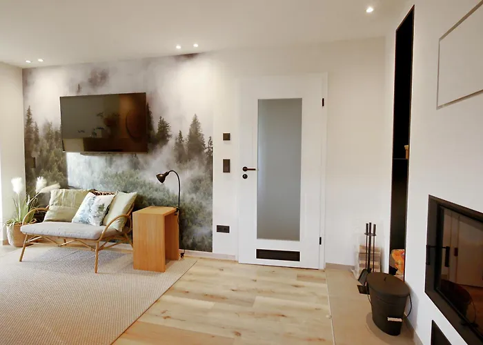 Apartment First-class Wander-lodge In Zentraler Lage! Willingen (Upland)